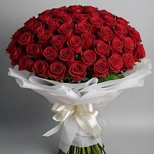 Букет 101 Красная роза Блэк Мэджик в Новощербиновской