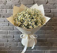 Букет цветов из:  Ромашки в Новощербиновской
