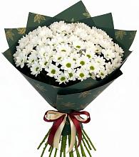 Букет цветов из:  Хризантемы #REPLACE_PRED# Новощербиновской