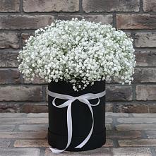 Цветочная композиция из Гипсофила в шляпной коробке в Новощербиновской