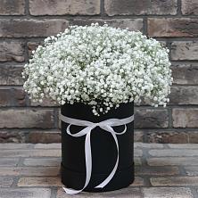 Цветочная композиция из Гипсофила в шляпной коробке в Новощербиновской