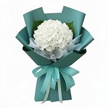 Букет цветов из:  Гортензия в Новощербиновской